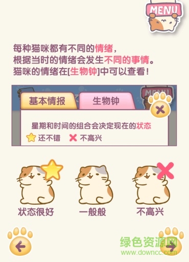 可爱小猫收集