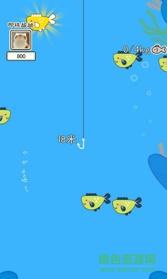 喵喵水族馆