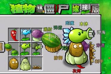 作者介绍 植物大战僵尸嫁接版